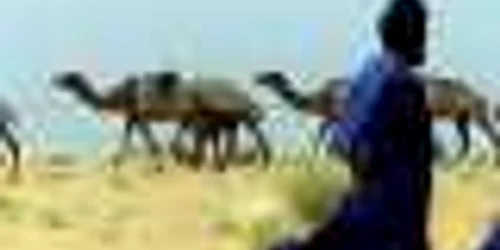 Desert Sahara caravana FOTO AP