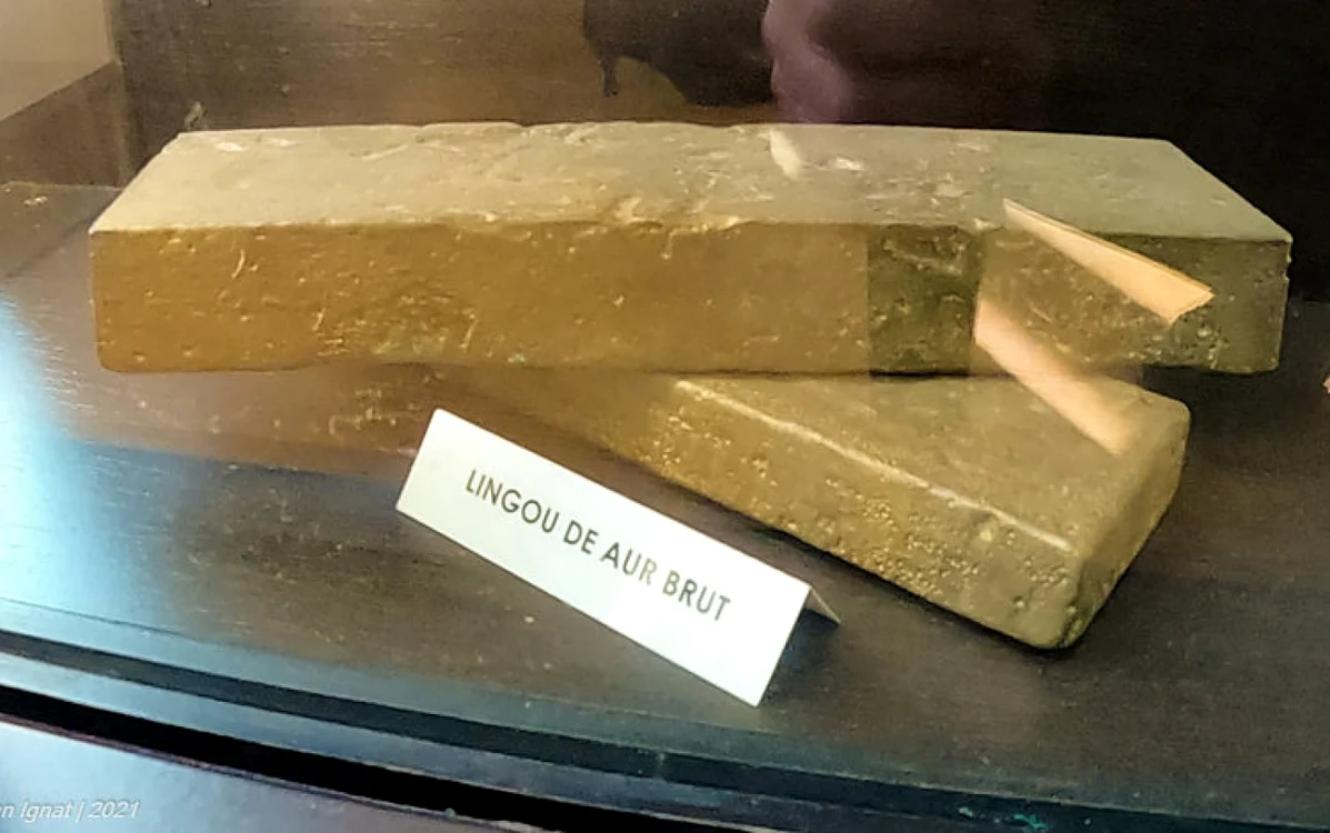 Lingou de aur expus la Muzeul din Brad,