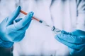 1 vaccin gripal 2 jpg jpeg
