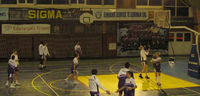 "Panterele roz" au fost sfâşiate de alexăndrence