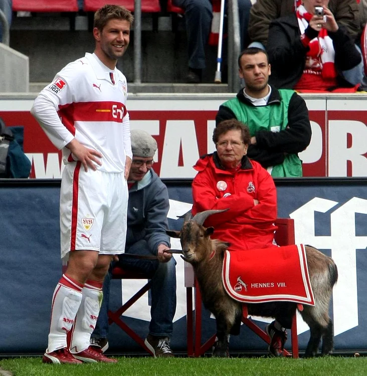 
    Hitzlsperger  