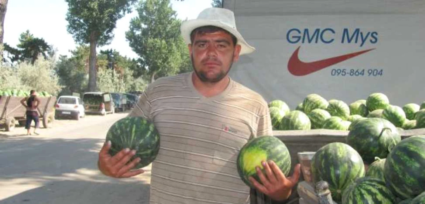Producătorii din Dăbuleni susţin că răsadurile din import sunt mult mai bune decât cele de la noi 