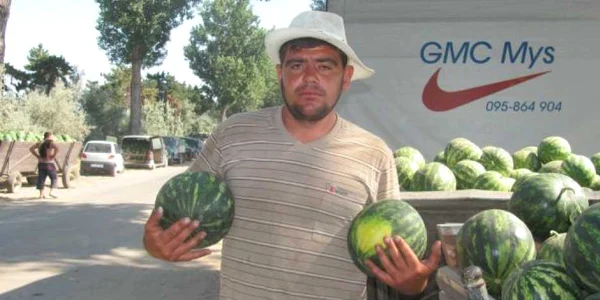 Producătorii din Dăbuleni susţin că răsadurile din import sunt mult mai bune decât cele de la noi