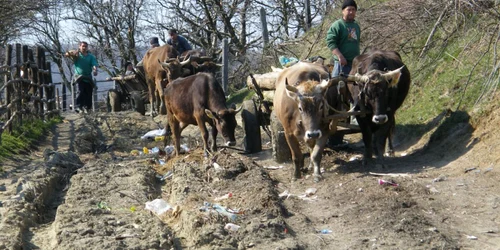 Drumurile de exploatare agricolă vor fi modernizate