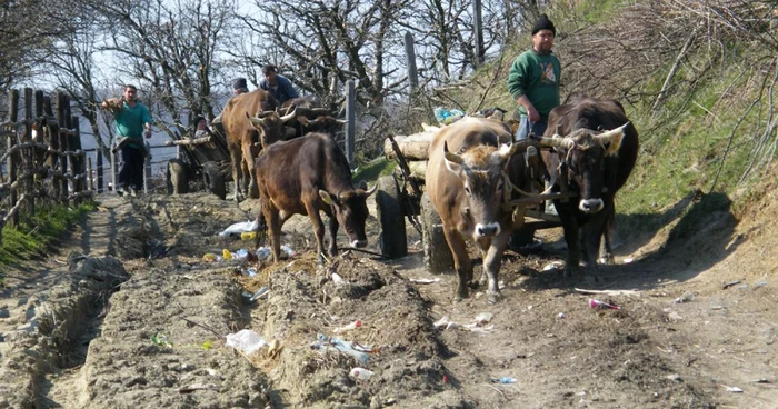 Drumurile de exploatare agricolă vor fi modernizate