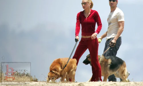 40613f2 iglesias e b gr 00 m jpeg