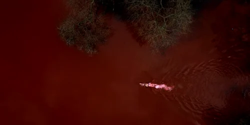 FOTO Twitter Ruta Meilutyte