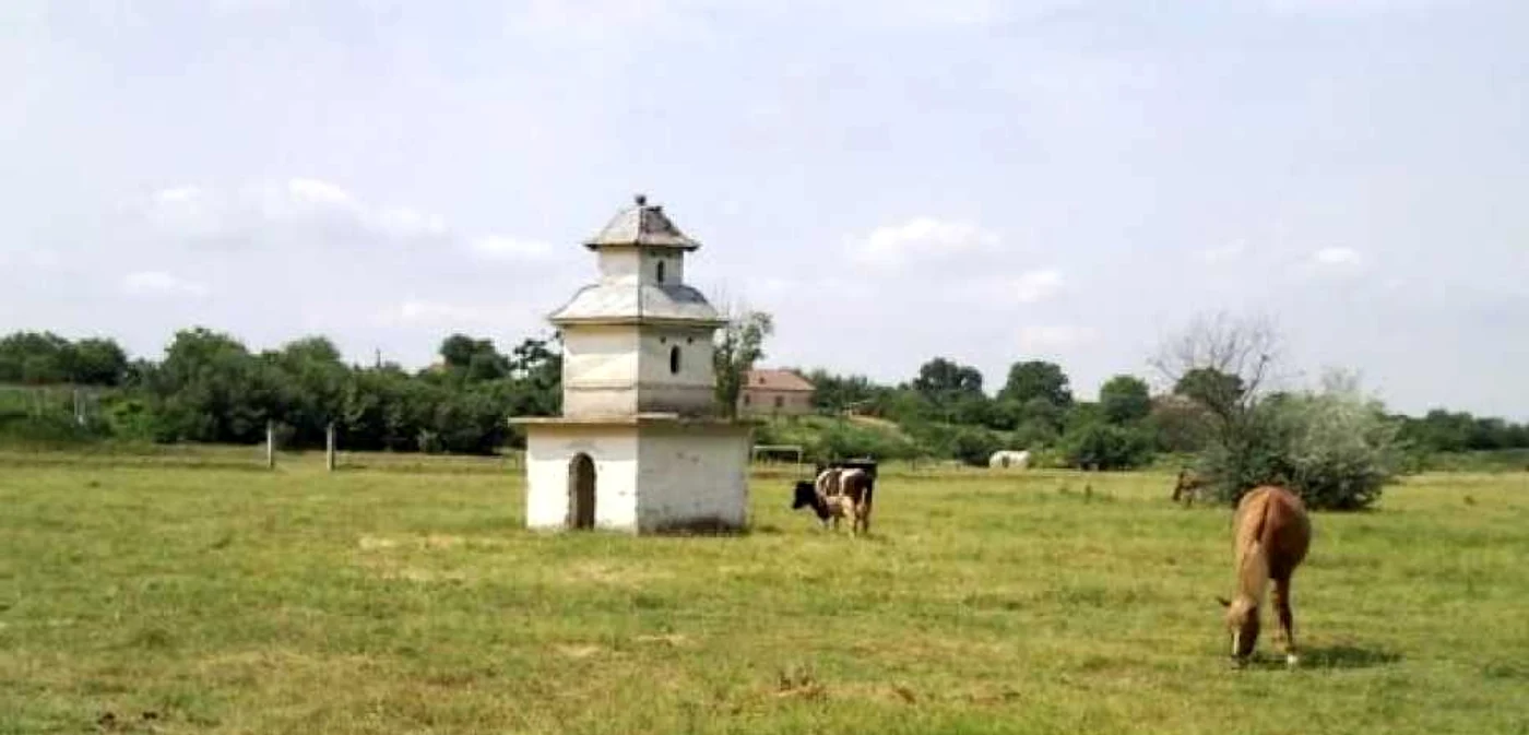Parcul din comuna doljeană Goicea a ajuns o ruină