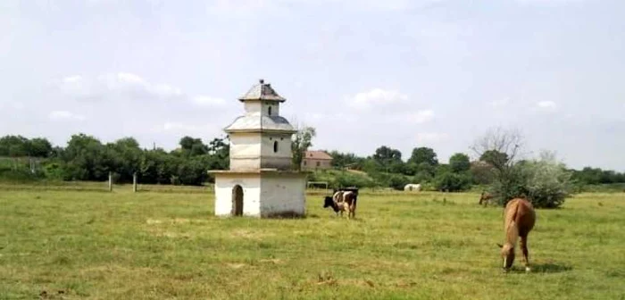 Parcul din comuna doljeană Goicea a ajuns o ruină