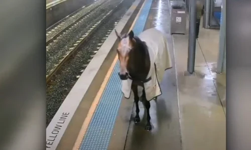 cal metrou captura video jpg