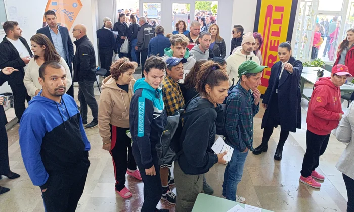 bursa locuri de munca absolventi octombrie 2026 foto alina mitran (13) jpeg