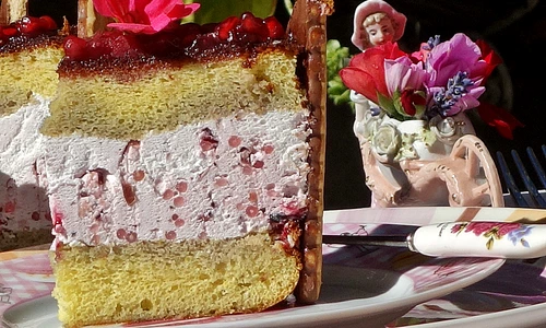 1 tort cu dulceata de coacaze perle de tapioca si jeleu de rodie2 jpg jpeg