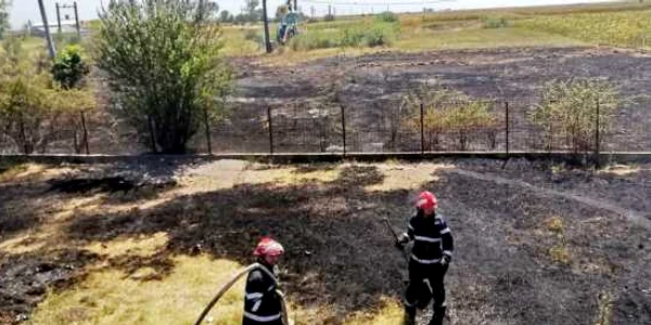 incendii vegetatie uscata