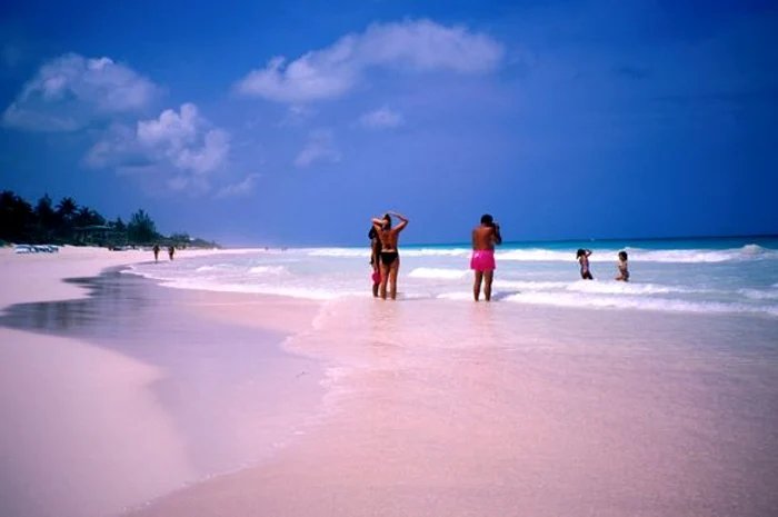 pink sands bahamas jpg jpeg