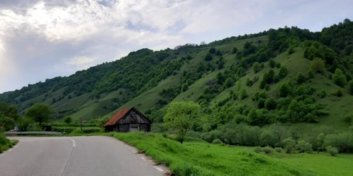 lunca cernii foto daniel guta