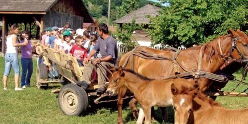 Copiii au fost impresionaţi de animalele domestice
