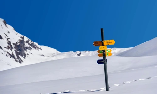 2 ricardo gomez angel ye47o7w mei unsplash jpg jpeg