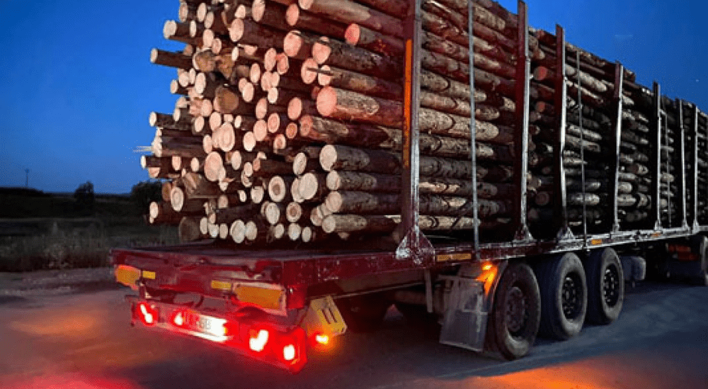 Transporturi ilegale de lemn depistate în Suceava. Marfa a fost confiscată