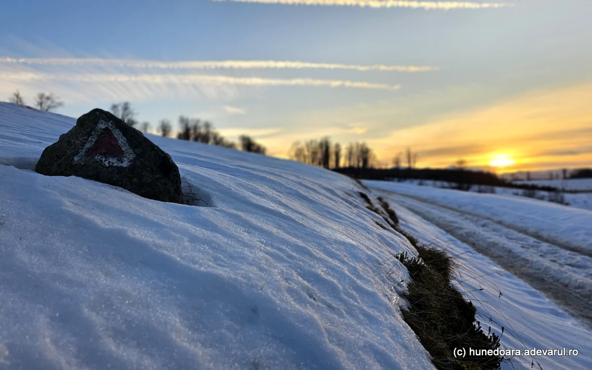 Poiana Omului din Hunedoara. Foto: Daniel Guță. ADEVĂRUL