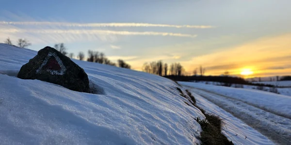 Poiana Omului Ianuarie 2024  Foto Daniel Guță  ADEVĂRUL (50) jpg