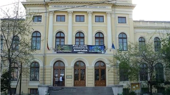 Expoziția de fotografie "Mica lume mare", la Muzeul Antipa jpeg