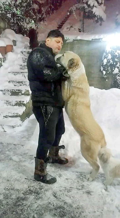 Tavi e păzit cu străşnicie de Roua