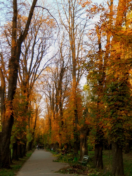 O Grădină Botanică jpeg