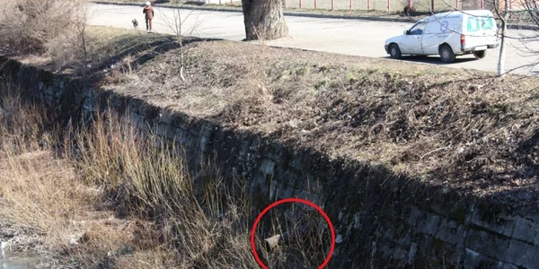 bistrita ardeleana 1