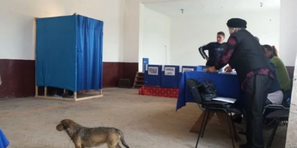 Alegeri în Timiş