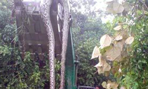CLIIMA20091112 0057 1 jpeg