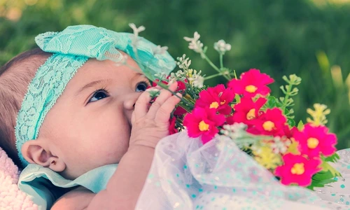 1 76221 original jpg jpeg