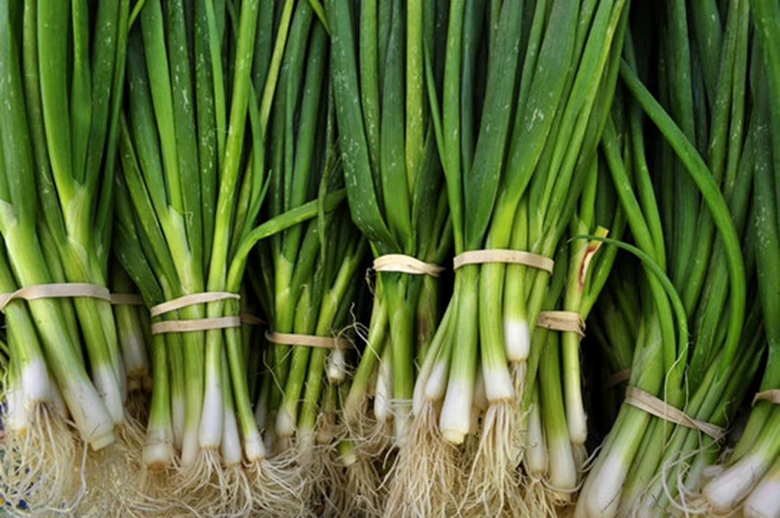 Cum putem proteja ceapa verde / foto: Adobe stock
