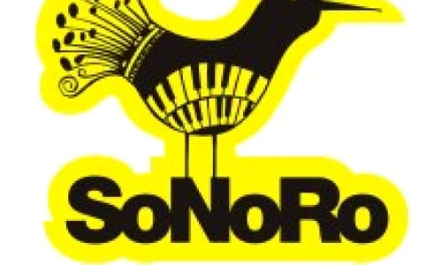 Fenomenul SoNoRo jpeg