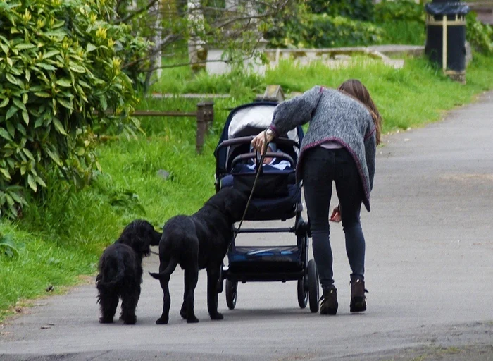 3 pippa middleton profimedia 0424682118 jpg jpeg