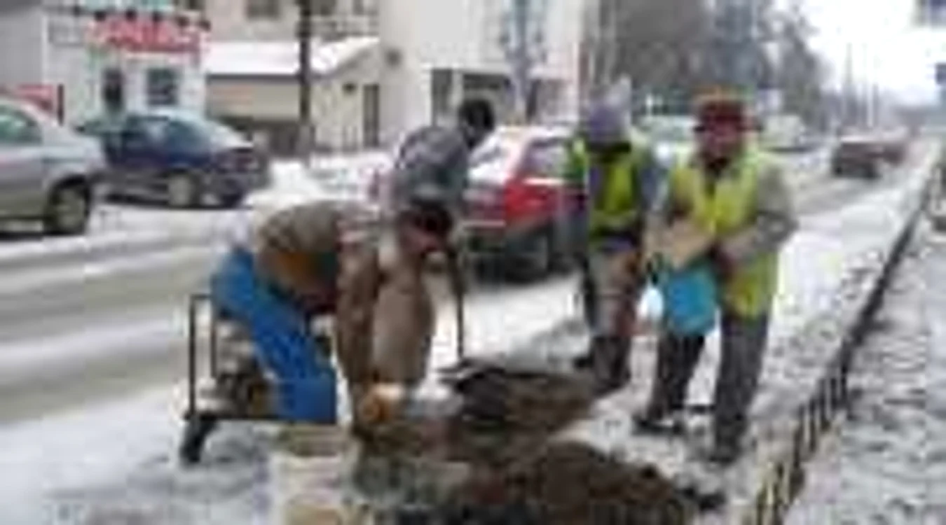 Pavelel sunt de 6 cm, deoarece cele de 7,5 sunt prea mari 