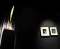 Expoziția Brâncuși de la Timișoara FOTO Ștefan Both