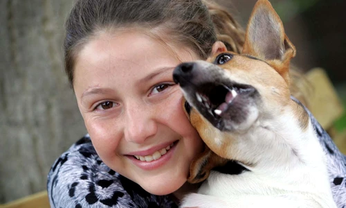 1 52353 original jpg jpeg