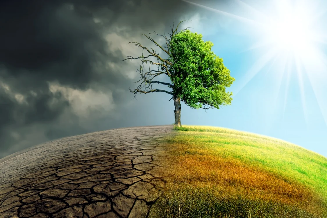 Scenarii ale schimbărilor climatice FOTO SHUTTERSTOCK