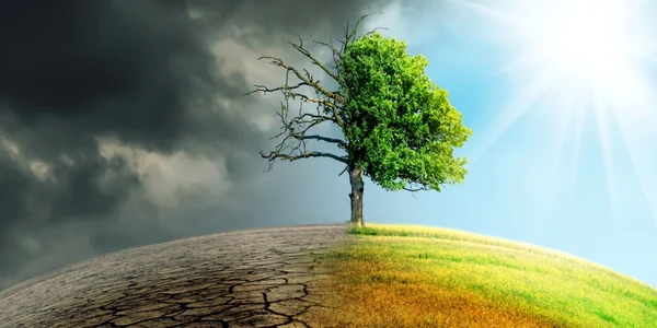 Scenarii ale schimbărilor climatice FOTO SHUTTERSTOCK