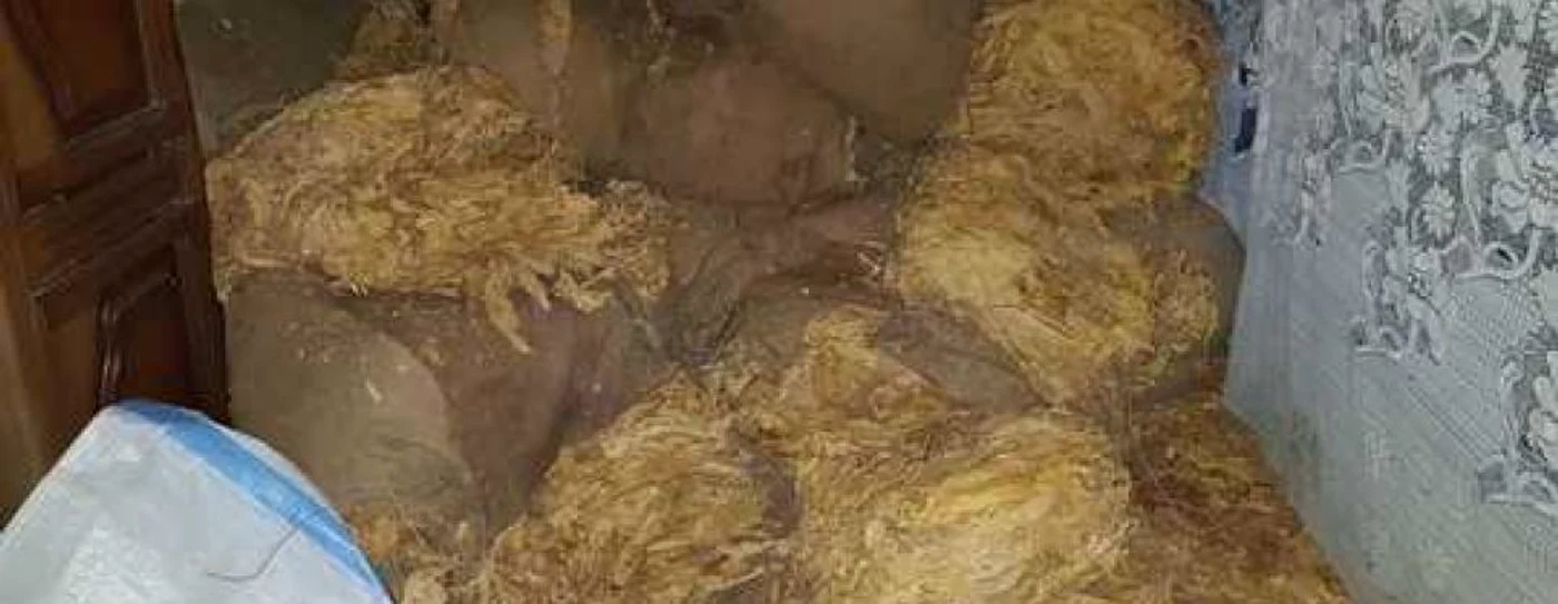Anchetatorii au găsit peste 130 kg de tutun şi instalaţii de mărunţire la perchziţii