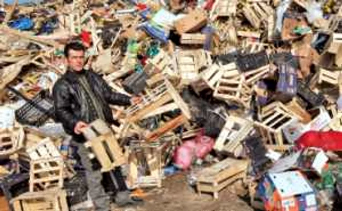 Deşeurile din lemn şi din sticlă, în vizorul UE