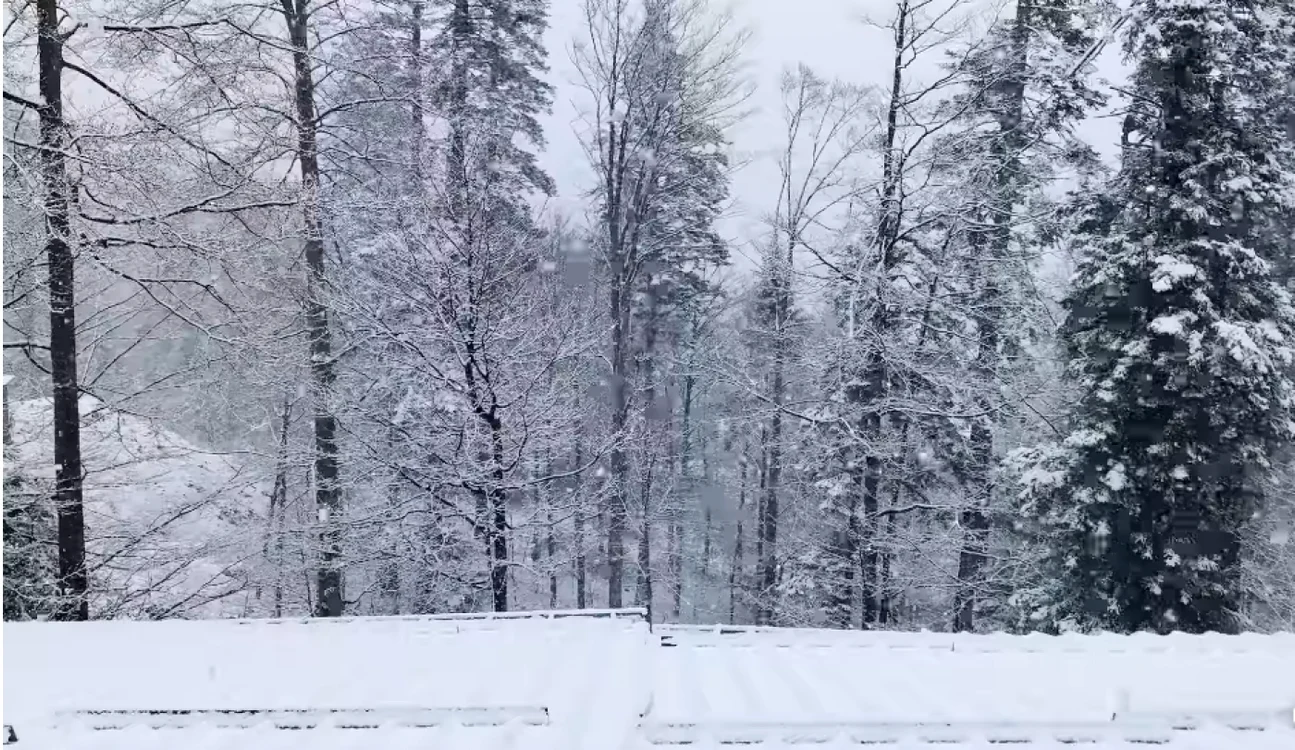 Ninge ca de Crăciun în Prahova FOTO captură video Facebook/Gondola Sinaia