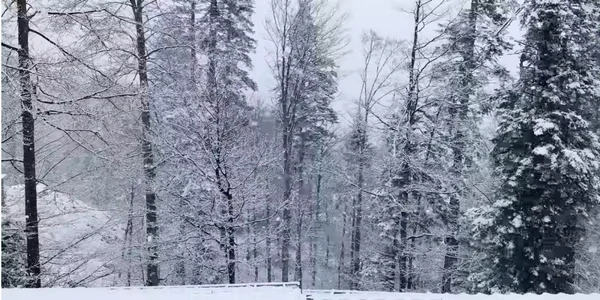 ninsori sinaia aprilie