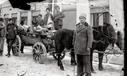 FOTO Pământ cu bogăţie nesecată  Cum se făcea negoţul cu cereale şi animale în Bărăganul interbelic jpeg