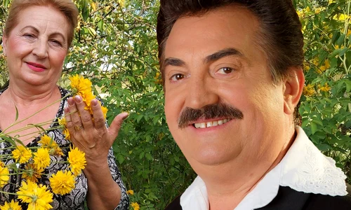 cub Petrică Mîțu Stoian png