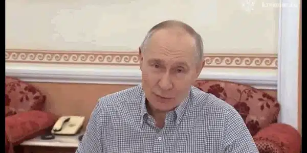 putin gif gif