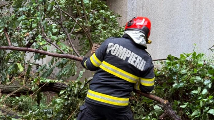 Vântul a doborât copaci FOTO: ISU