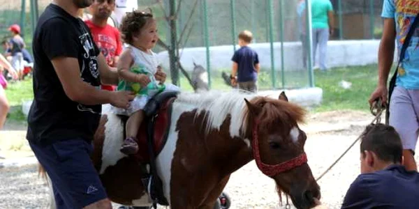 hunedoara zoo