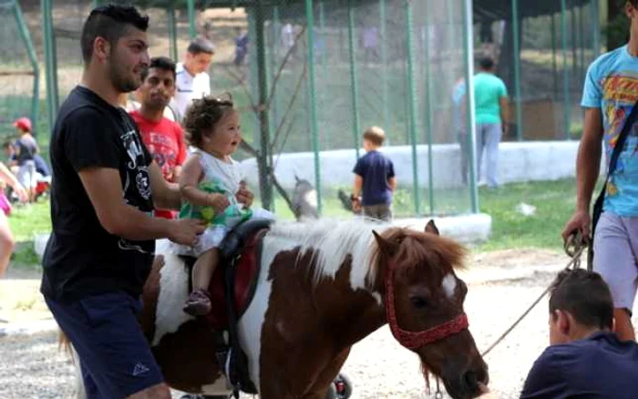 Copiii au putut să vadă cum e să călăreşti un ponei. FOTO: D.G.