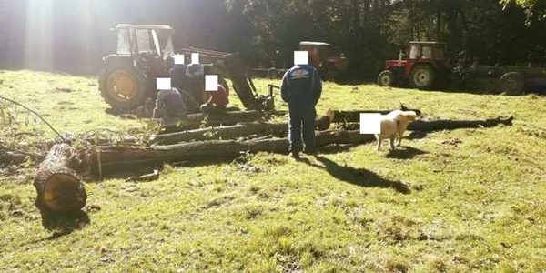 jandarmii au anonimizat fata cainelui